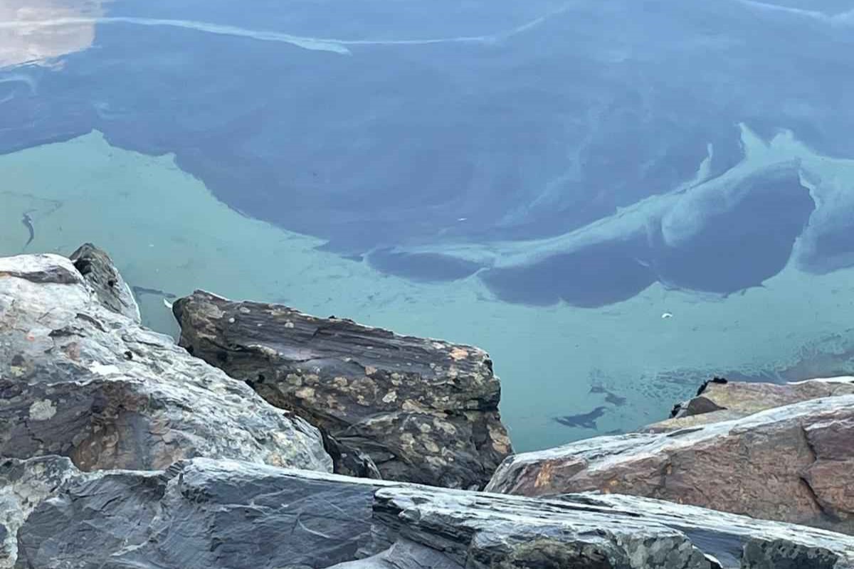 Blue green algae sandyloch 02