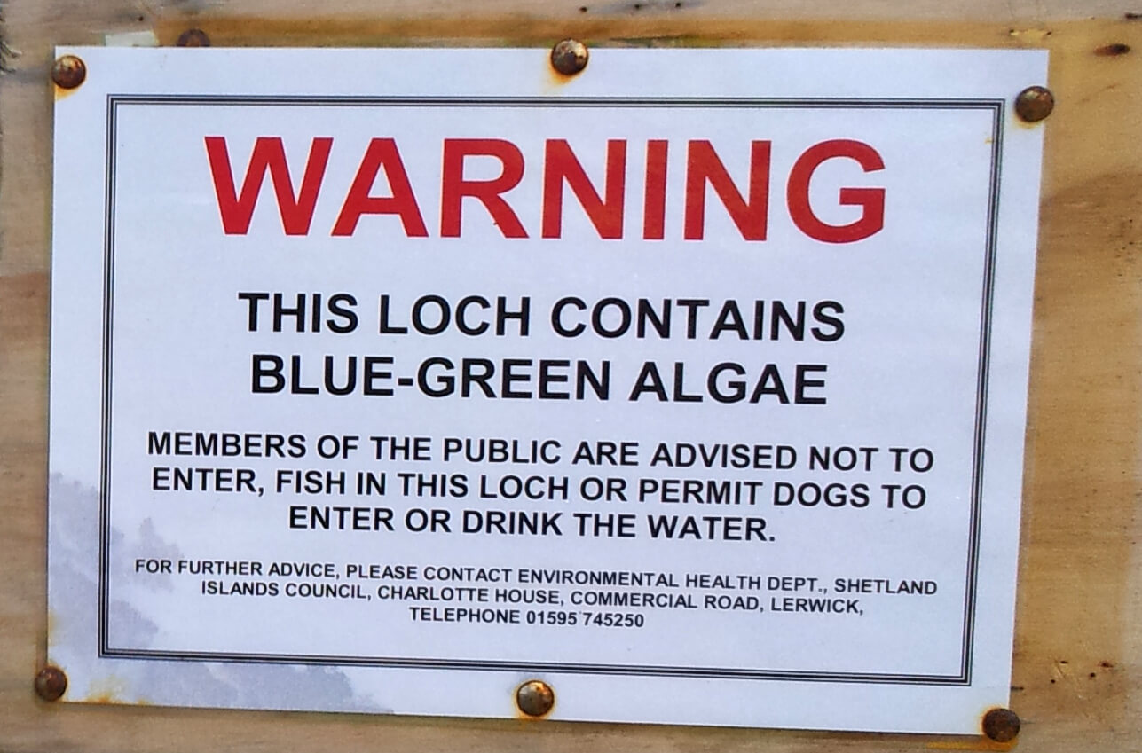 Blue green algae sign 03