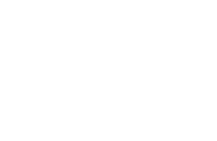 ferry, plane and bus